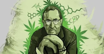 Skillnaden-pa-THCP-och-andra-cannabinoider