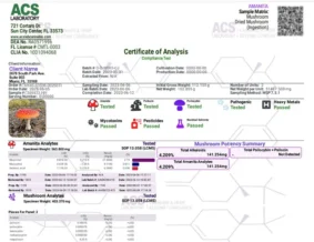 Fruity Shroomz - Muscimol - 20st x 5mg - Billede 2