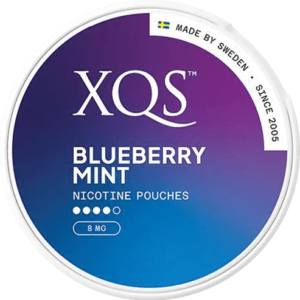 XQS Blueberry Mint Strong
