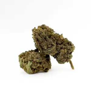 Magic Sauce Donny Burger Magic Farmers