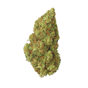 Pineapple express 33% THCA Buds